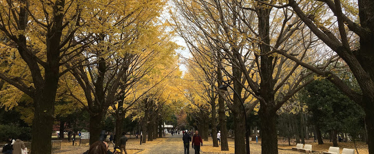 【40代主婦の糖質制限ダイエット52日目】目標体重以下一週間維持成功