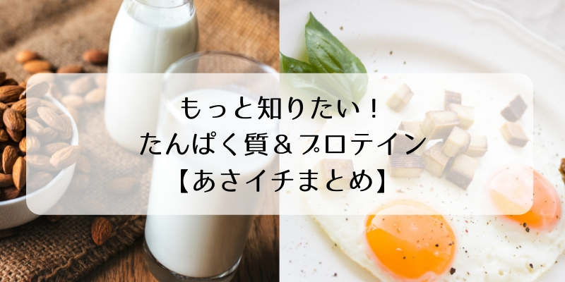 もっと知りたい!たんぱく質&プロテイン【あさイチまとめ】