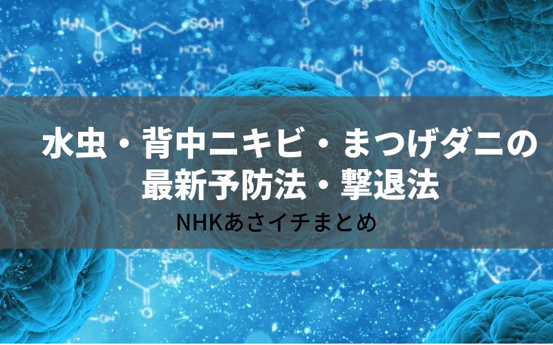 【NHKあさイチ】水虫・背中ニキビ・まつげダニの最新予防法・撃退法(6月5日)