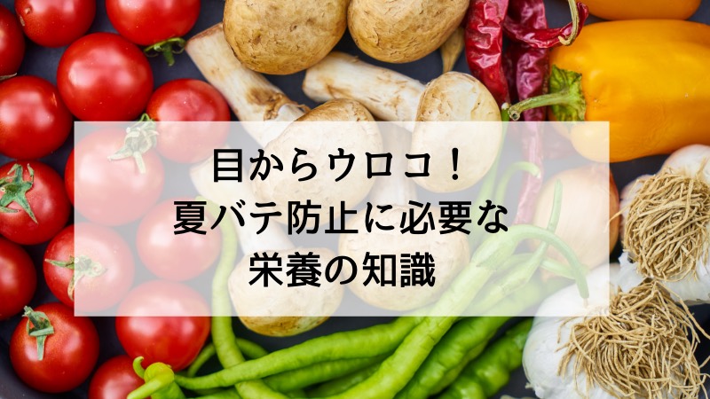 【ヒルナンデスまとめ】目からウロコ!夏バテ防止に必要な栄養の知識!(6月3日)