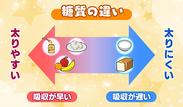 糖質の違い:吸収が早い単糖類・二糖類と、吸収が遅い多糖類